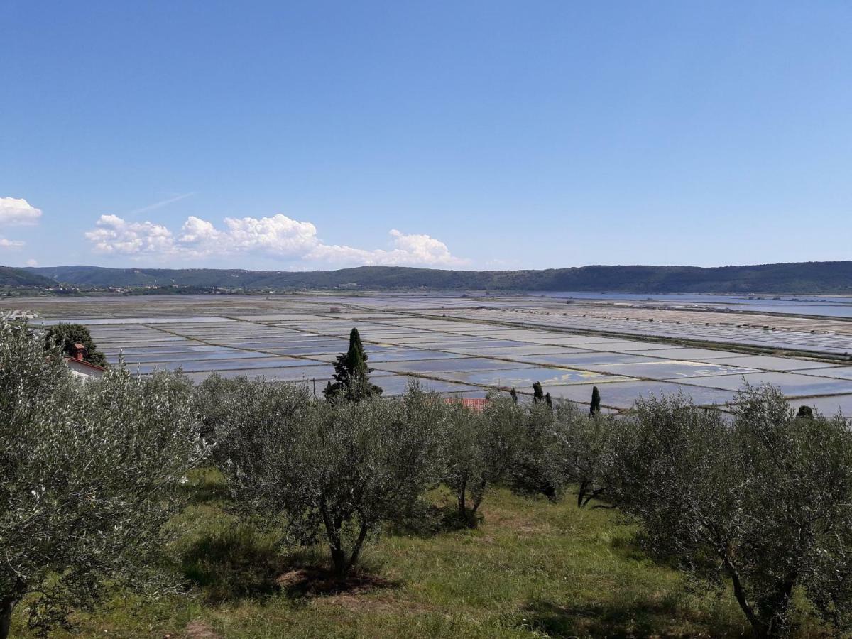 Apartma Kocevar Portoroz Bagian luar foto